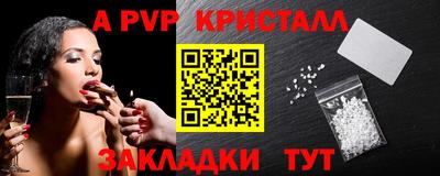 молекула духа Кингисепп