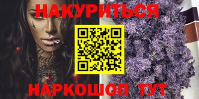 молекула духа Кингисепп