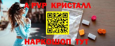 молекула духа Кингисепп