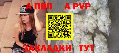 молекула духа Кингисепп