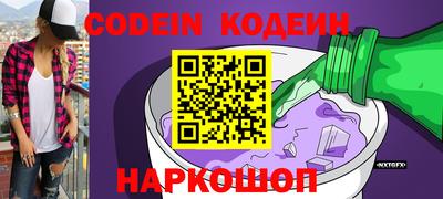 молекула духа Кингисепп