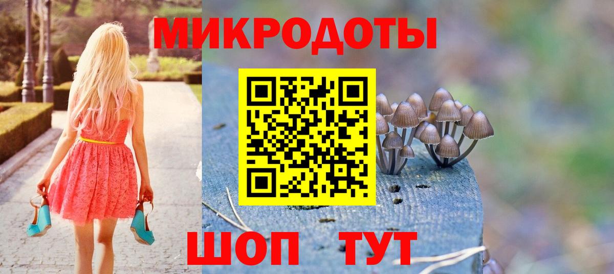 Кропоткин  Галлюциногенные грибы прущие грибы  Вход с VPN 